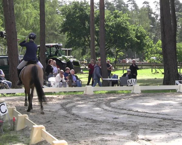 Reitturnier Dannenberg 2023