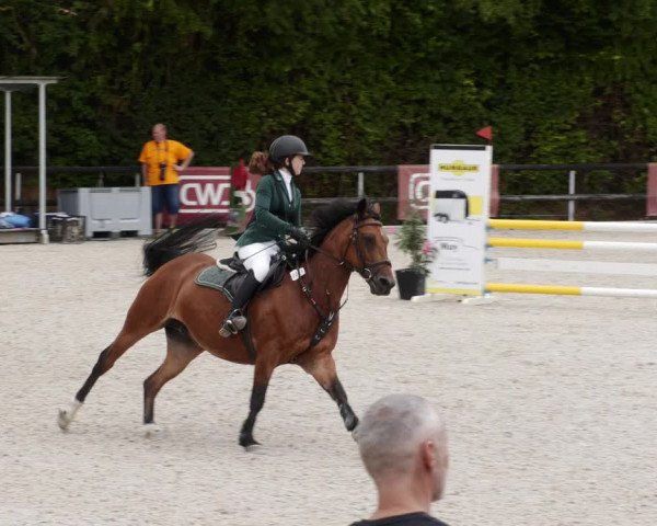 Reitturnier Worms-Pfeddersheim / Reitsportanlage Wittemer 2023
