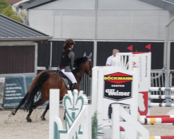 Reitturnier Worms-Pfeddersheim / Reitsportanlage Wittemer 2023