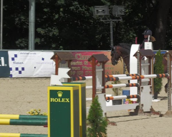 Reitturnier Karlsfeld 2023