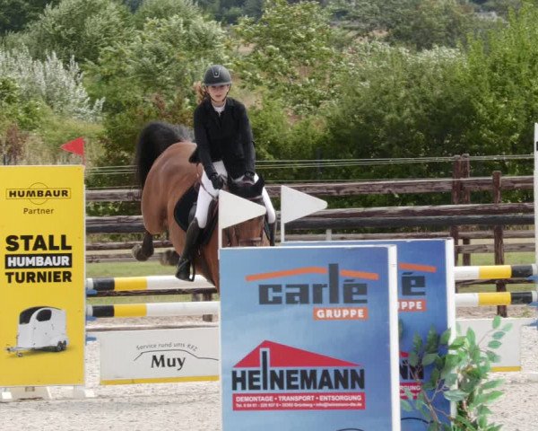 Reitturnier Worms-Pfeddersheim / Reitsportanlage Wittemer 2023