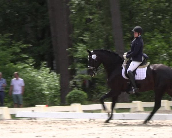 Reitturnier Dannenberg 2023