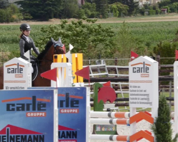 Reitturnier Worms-Pfeddersheim / Reitsportanlage Wittemer 2023