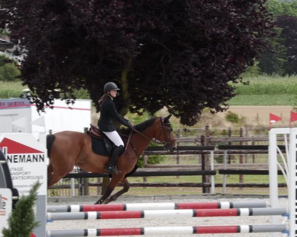 Reitturnier Worms-Pfeddersheim / Reitsportanlage Wittemer 2023