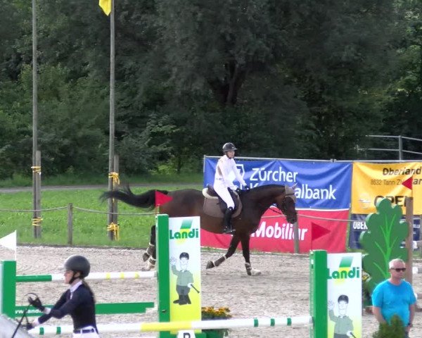 Reitturnier Gossau 2023