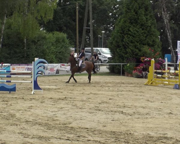 Reitturnier Herbern 2019