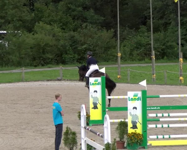 Reitturnier Gossau 2023
