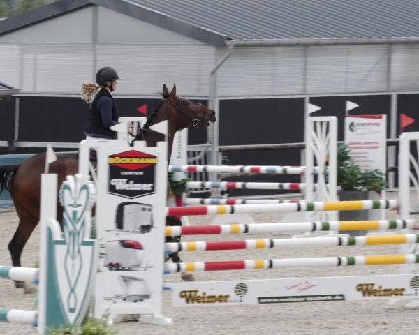 Reitturnier Worms-Pfeddersheim / Reitsportanlage Wittemer 2023