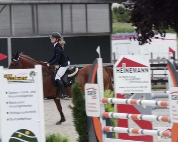 Reitturnier Worms-Pfeddersheim / Reitsportanlage Wittemer 2023