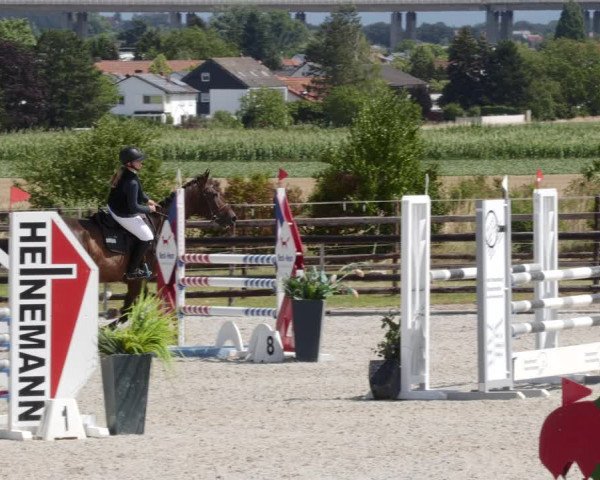 Reitturnier Worms-Pfeddersheim / Reitsportanlage Wittemer 2023