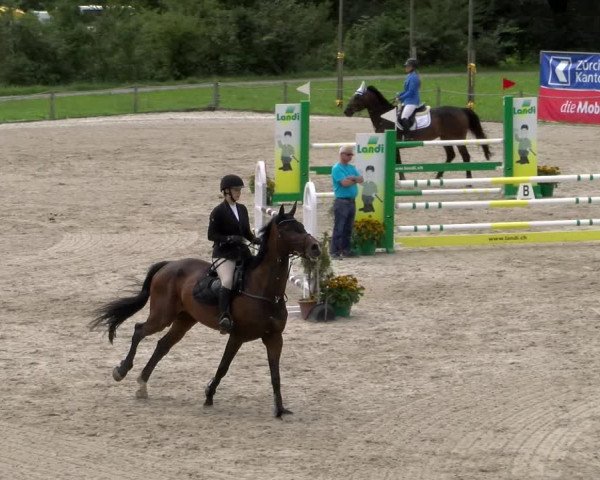 Reitturnier Gossau 2023