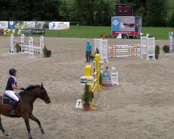 Reitturnier Gossau 2023