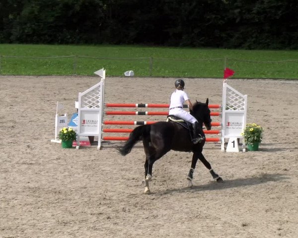 Reitturnier Gossau 2023