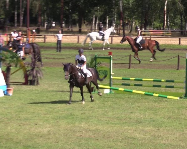 Reitturnier Gallinchen 2023