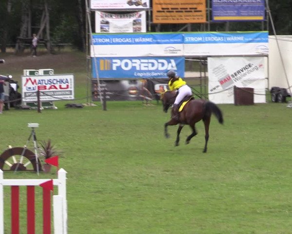 Reitturnier Gallinchen 2023