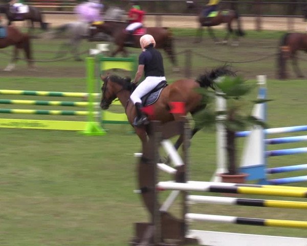 Reitturnier Gallinchen 2023