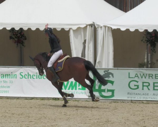 Reitturnier Karlsfeld 2023