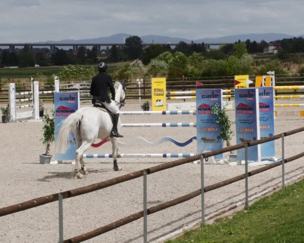 Reitturnier Worms-Pfeddersheim / Reitsportanlage Wittemer 2023