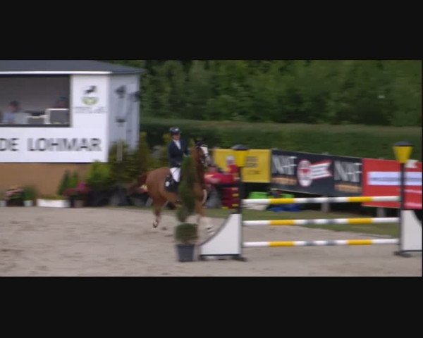 Video of Quivaldi van de Brouwershoeve