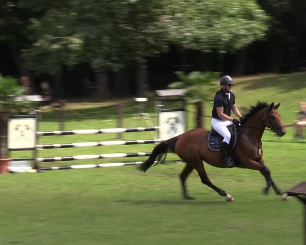 Reitturnier Gallinchen 2023