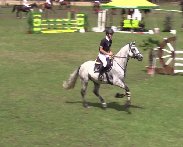 Reitturnier Gallinchen 2023