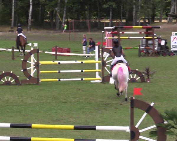 Reitturnier Gallinchen 2023