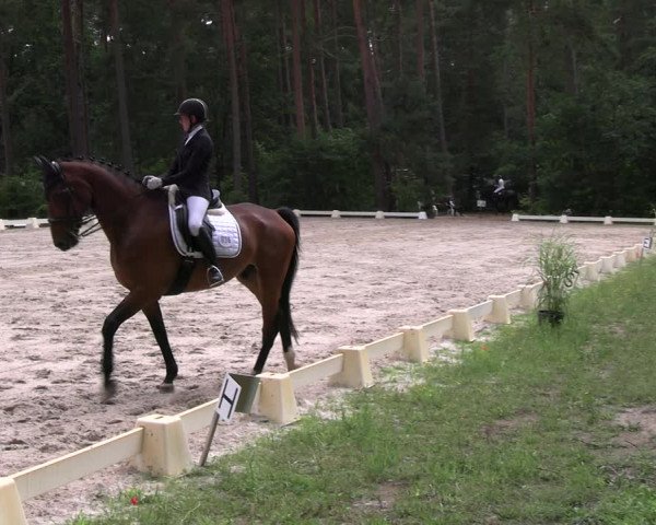 Reitturnier Dannenberg 2023