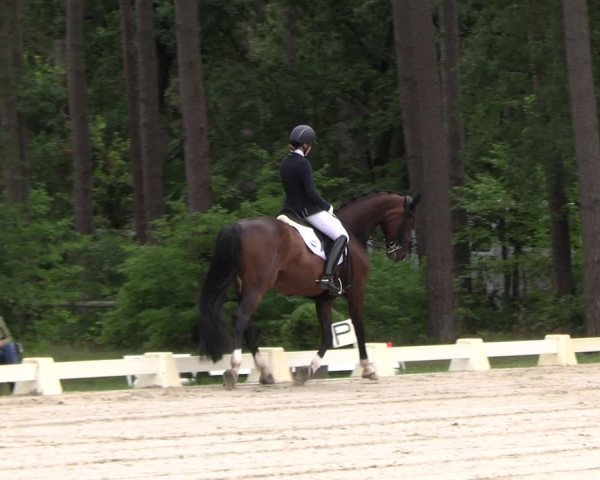 Reitturnier Dannenberg 2023