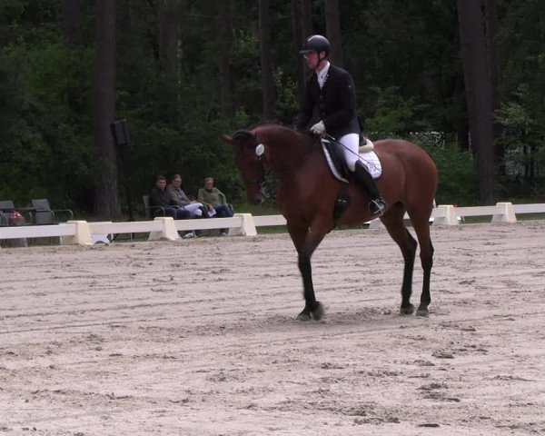 Reitturnier Dannenberg 2023