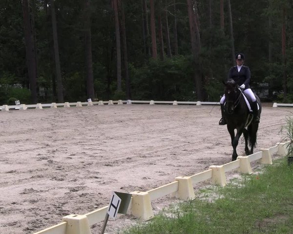 Reitturnier Dannenberg 2023