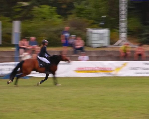 Reitturnier Baschütz bei Bautzen 2023