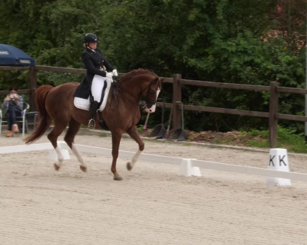 Reitturnier Bübinger Hof 2023