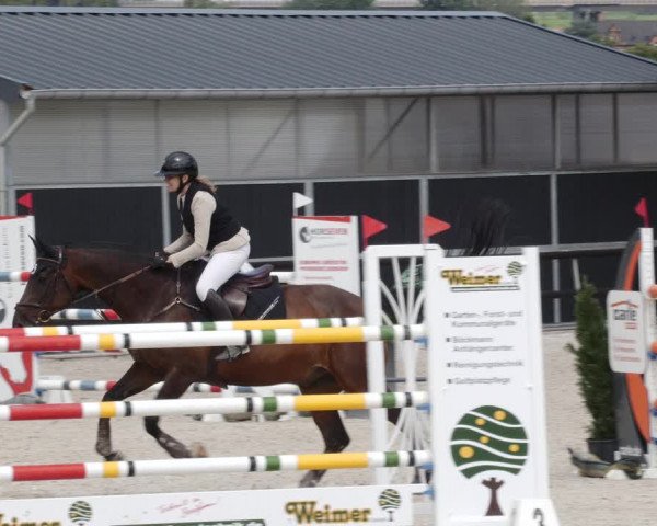Reitturnier Worms-Pfeddersheim / Reitsportanlage Wittemer 2023