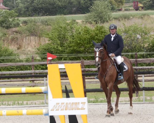 Reitturnier Worms-Pfeddersheim / Reitsportanlage Wittemer 2023