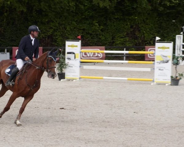 Reitturnier Worms-Pfeddersheim / Reitsportanlage Wittemer 2023
