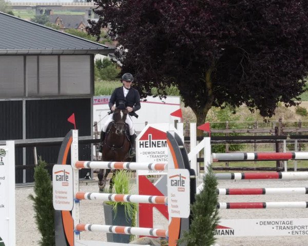 Reitturnier Worms-Pfeddersheim / Reitsportanlage Wittemer 2023