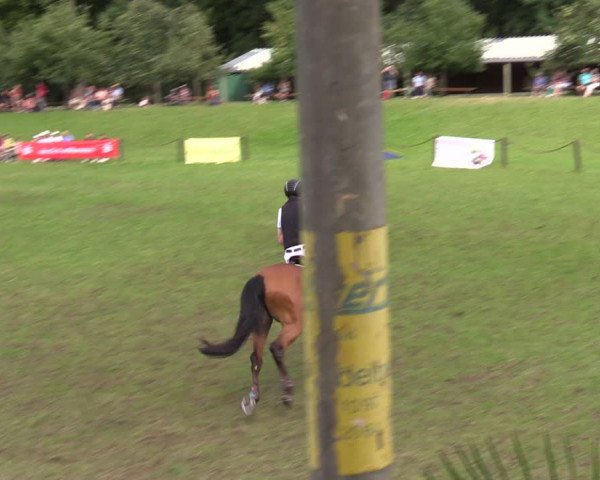 Reitturnier Gallinchen 2023