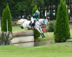 jumper Menlo Will (Connemara Pony, 2010, from Spiddal Wills Boy)
