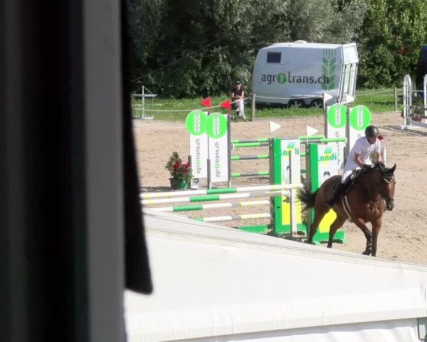 Reitturnier Gossau 2023
