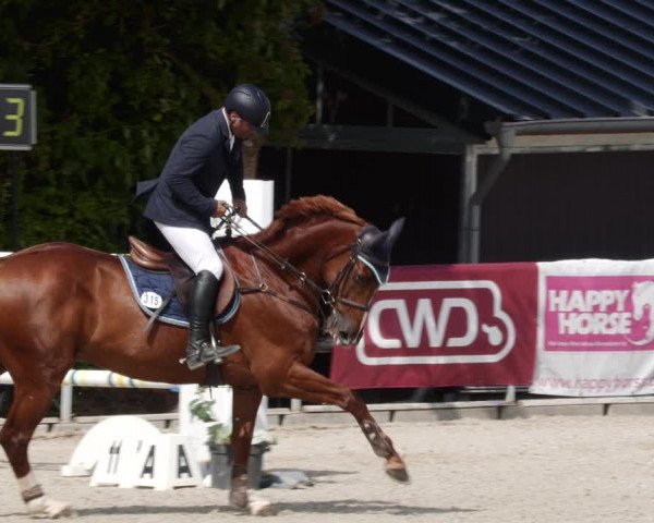 Reitturnier Worms-Pfeddersheim / Reitsportanlage Wittemer 2023