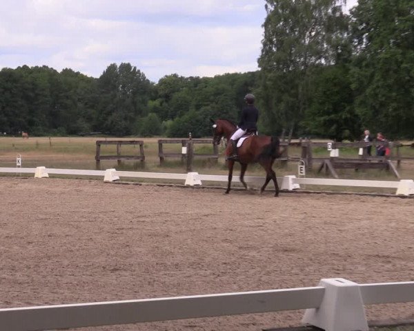 Reitturnier Gallinchen 2023