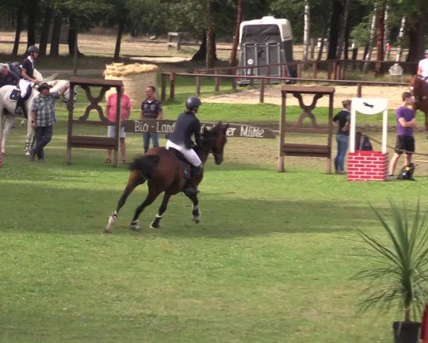 Reitturnier Gallinchen 2023