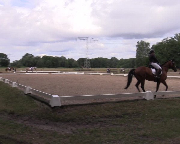 Reitturnier Gallinchen 2023