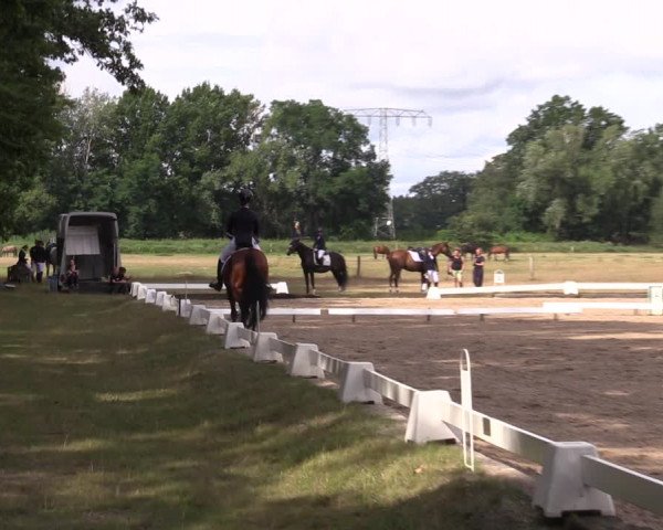 Reitturnier Gallinchen 2023