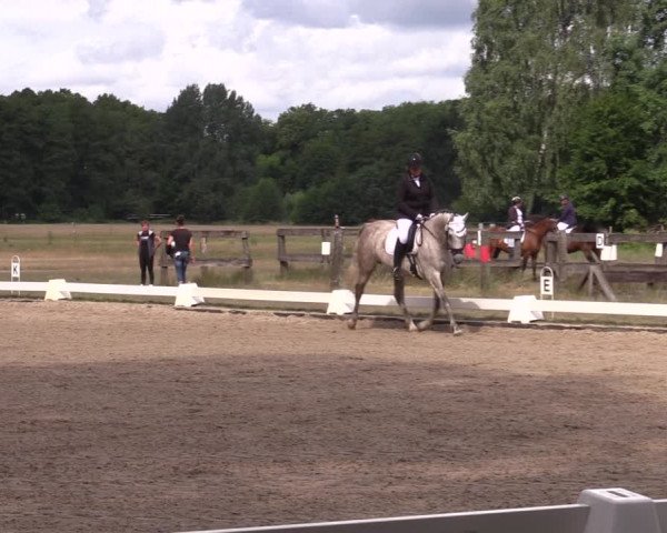 Reitturnier Gallinchen 2023