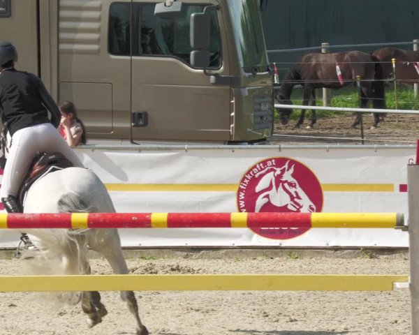 Reitturnier Karlsfeld 2023