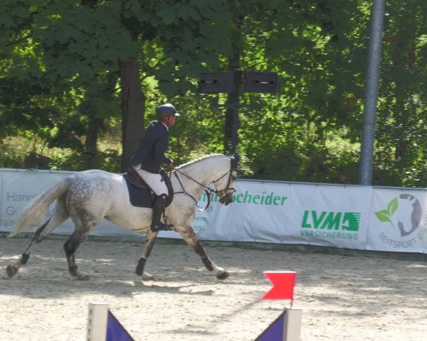 Reitturnier Karlsfeld 2023