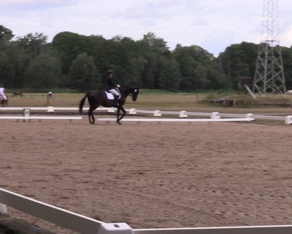 Reitturnier Gallinchen 2023