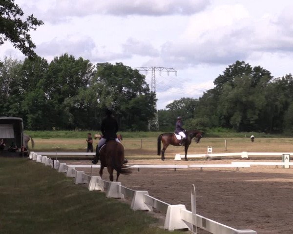 Reitturnier Gallinchen 2023