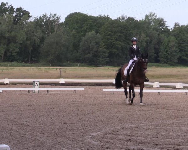Reitturnier Gallinchen 2023